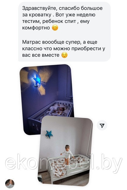 Кровать с бортиком и лесенкой "Эрни" (70х140, 70х150, 70х160 см) Массив сосны — изображение 2
